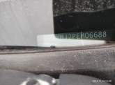 photo5