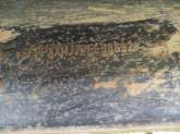 photo6