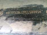 photo6
