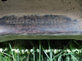 photo6