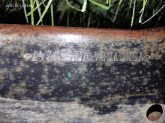 photo7