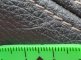photo48