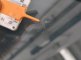 photo38