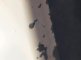 photo41