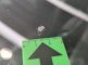 photo41