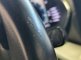 photo45
