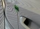 photo44