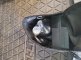 photo20