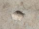 photo22