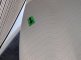 photo44