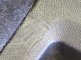 photo40