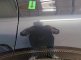 photo47