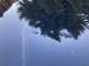 photo42