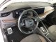 photo19