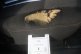 photo42