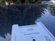 photo79